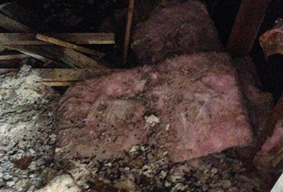 Attic Full of contaminated materials