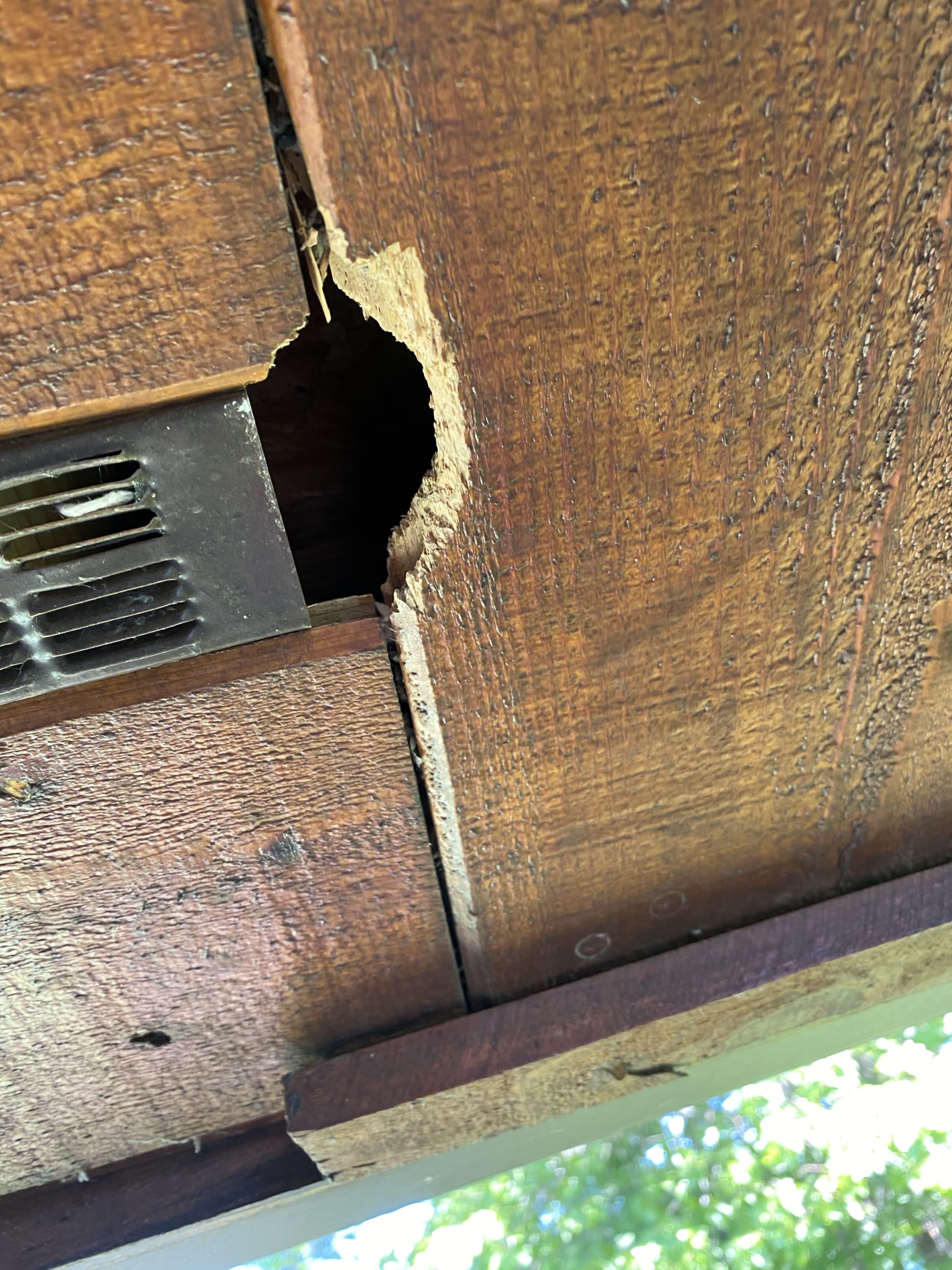 An opening and possible entry point for bats next to a vent.